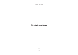 Mountain peat bogs 9