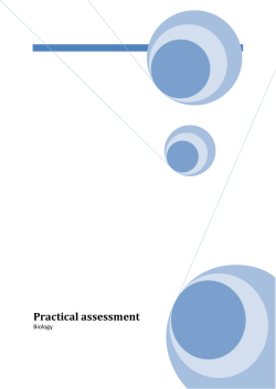 Practical assessment