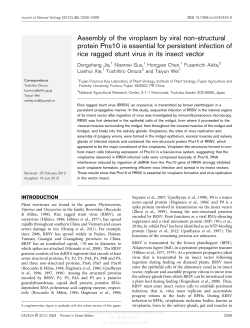 Assembly of the viroplasm by viral non