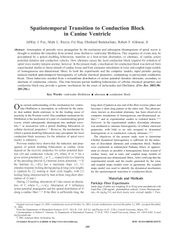 Spatiotemporal Transition to Conduction Block in Canine Ventricle