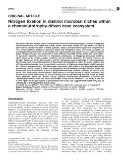 Nitrogen fixation in distinct microbial niches within a