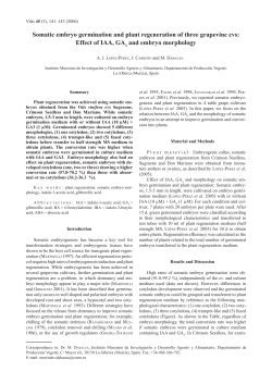 Somatic embryo germination and plant regeneration - Vitis-vea