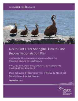 North East LHIN Aboriginal Health Care Reconciliation Action Plan