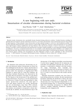 linearisation of circular chromosomes during bacterial evolution