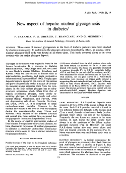 New aspect of hepatic nuclear glycogenosis in diabetes1