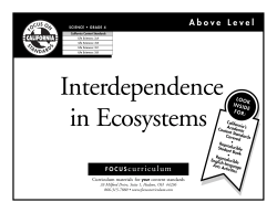 Above Level FOCUS curriculum