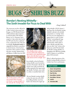 bugs shrubs buzz - Collier County Extension Office