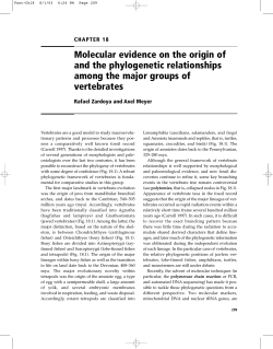 Tetrapod origins - Millersville University
