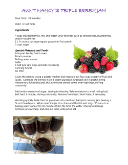 6 Half Pints Ingredients 4 cups crushed berries, mix and match your