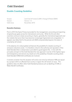 Double Counting Guideline