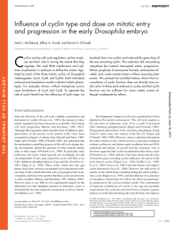 Influence of cyclin type and dose on mitotic entry and progression in