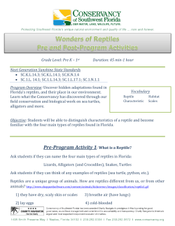 Pre-Program Activity 1: What is a Reptile?