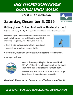 Guided bird walk - City of Loveland