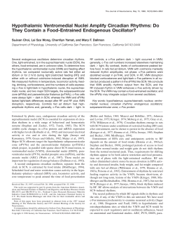 Hypothalamic Ventromedial Nuclei Amplify Circadian Rhythms: Do