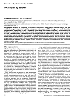DNA repair by oocytes