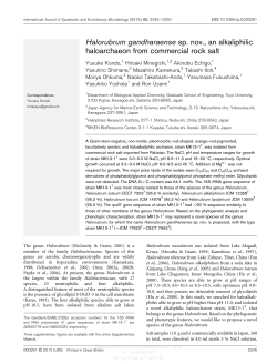 Halorubrum gandharaense sp. nov., an alkaliphilic haloarchaeon