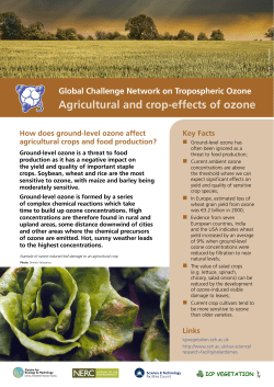 Agricultural and crop effects of ozone