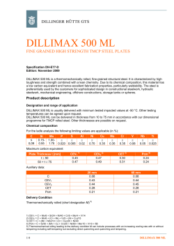 dillimax 500 ml