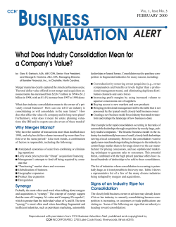 What Does Industry Consolidation Mean for a