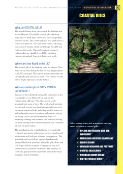 coastal gills - Durham Biodiversity Partnership