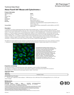 Alexa Fluor&reg; 647 Mouse anti-Cytochrome c