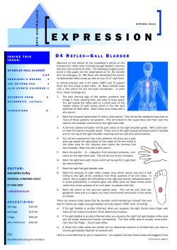 2010 Spring - SOTO Australasia