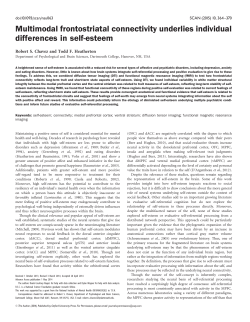 Multimodal frontostriatal connectivity underlies