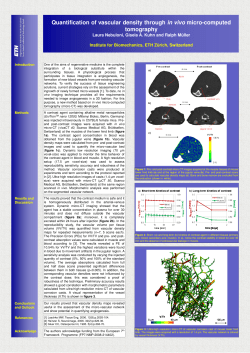 Quantification of vascular density through in vivo