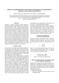 digital watermark technique for projective