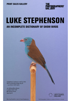 Luke Stephenson Downloadable Notes