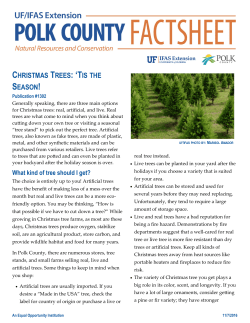 christmas trees - UF/IFAS Extension Polk County