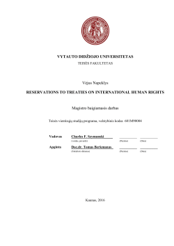 Reservations to Treaties on International Human Rights