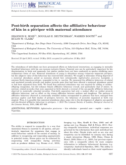 Post-birth separation affects the affiliative behaviour