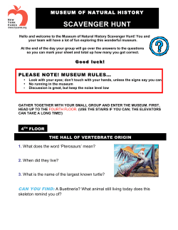 AMNH Hunt &ndash; younger grades