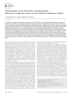 Characteristics of the Freshwater Cyanobacterium