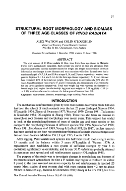 structural root morphology and biomass of three