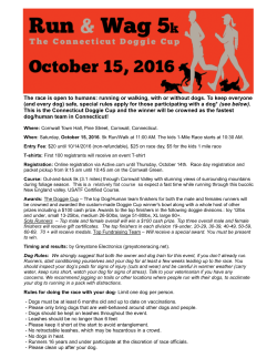 The race is open to humans: running or walking