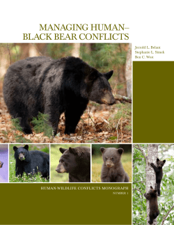 managing human&ndash; black bear conflicts