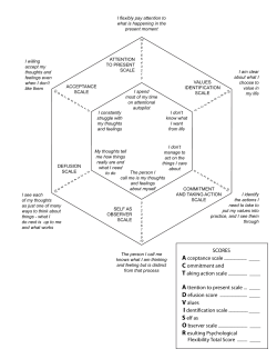 ACT Psychological Flexibility Measure PDF