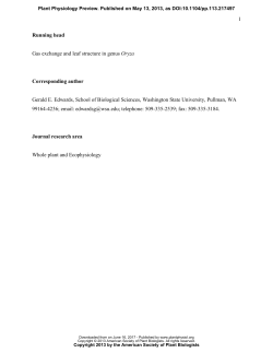 Coordination of leaf photosynthesis, transpiration and structural