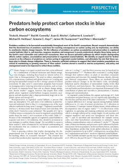 Predators help protect carbon stocks in blue carbon ecosystems