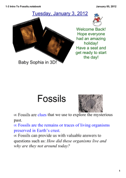 1-3 Intro To Fossils.notebook