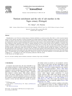 Nutrient enrichment and the role of salt marshes in the Tagus estuary