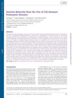Genome Networks Root the Tree of Life between Prokaryotic Domains