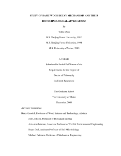 STUDY OF BASIC WOOD DECAY MECHANISMS AND THEIR