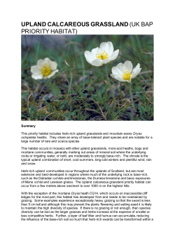 upland calcareous grassland