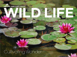 MEMBER MAGAZINE &bull; AUTUMN 2014