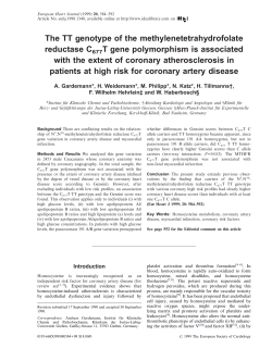 The TT genotype of the methylenetetrahydrofolate reductase C677T