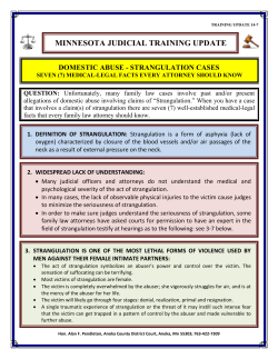 minnesota judicial training update