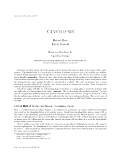 Glycolysis - OpenStax CNX